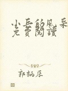 小兵的风采小说免费阅读