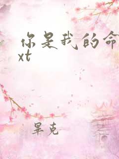 你是我的命运txt