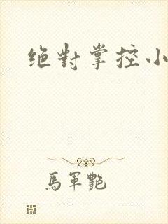 绝对掌控小说