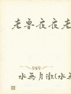老鲁夜夜老鲁