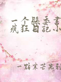 一个县委书记的疯狂日记小说