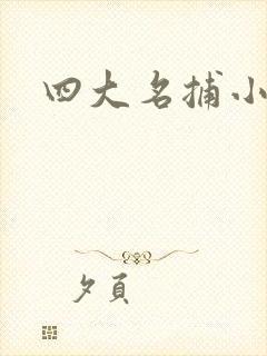 四大名捕小说