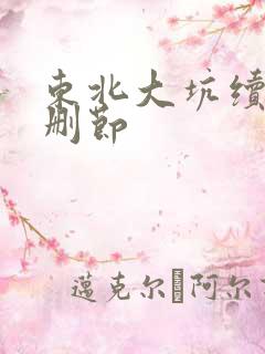 东北大坑续集未删节