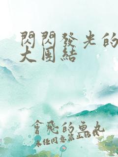 闪闪发光的小说大团结