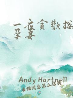 一夜贪欢总裁幸孕妻