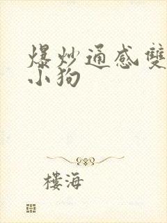 爆炒通感双胞胎小狗