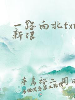 一路向北txt新浪