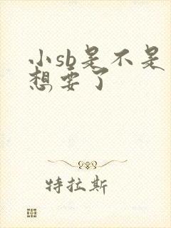 小sb是不是又想要了