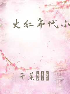 火红年代小说