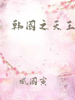 韩国之天王