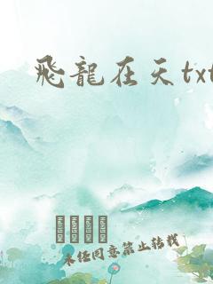 飞龙在天txt