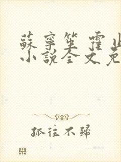 苏宁笙 霍止行小说全文免费阅读