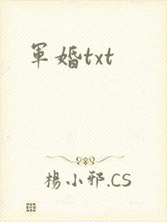 军婚txt