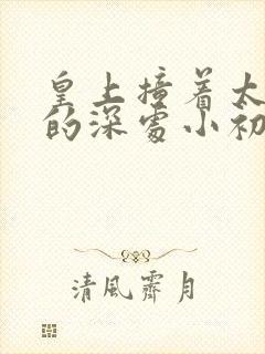 皇上撞着太子妃的深处小初