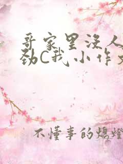 哥家里没人使点劲C我小作文视频