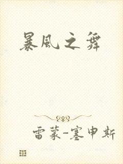 暴风之舞