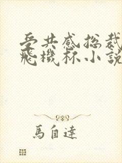 受共感总裁攻的飞机杯小说叫什么