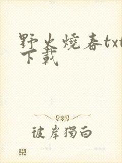 野火烧春txt下载