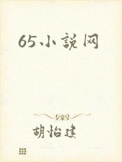 65小说网