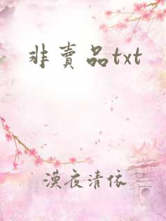 非卖品txt