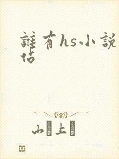 谁有hs小说网站