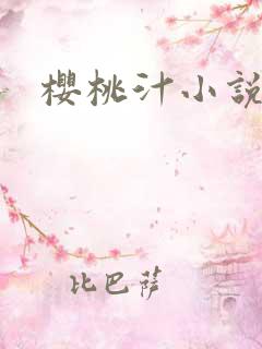 樱桃汁小说