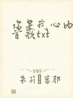 你是我心内的一首歌txt