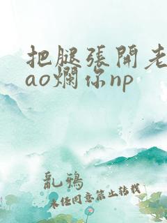 把腿张开老子cao烂你np