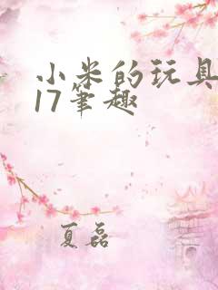 小米的玩具日记17笔趣