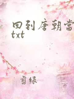 回到唐朝当皇帝txt