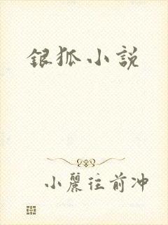 银狐小说
