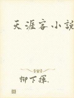 天涯客小说