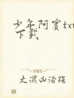 少年阿宾txt 下载