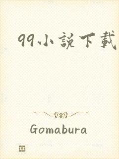99小说下载网