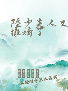 陆少夫人又双叒撒娇了