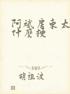 阿斌房东太太是什么梗