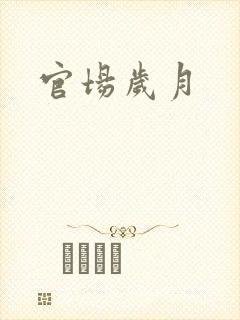 官场岁月