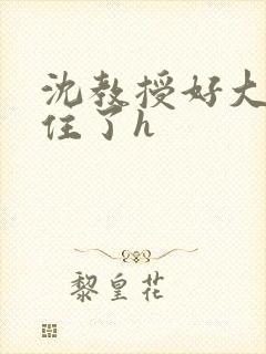 沈教授好大含不住了h