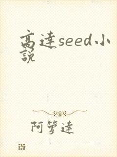 高达seed小说