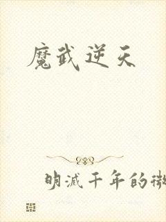 魔武逆天