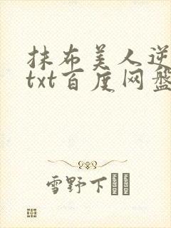 抹布美人逆袭记txt百度网盘