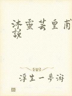 沐灵芸皇甫霆小说