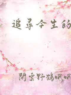 追寻今生的最爱