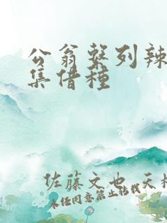 公翁系列辣文全集借种