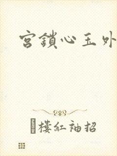 宫锁心玉外传