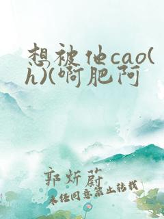 想被他cao(h)(啊肥阿