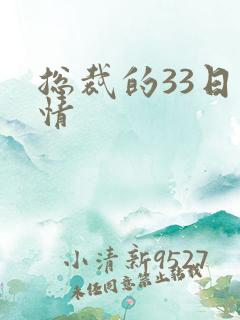 总裁的33日索情