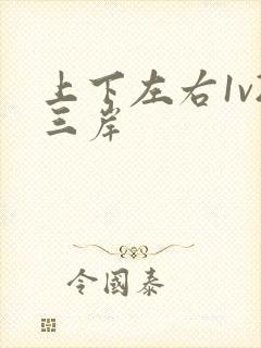 上下左右1v2三岸