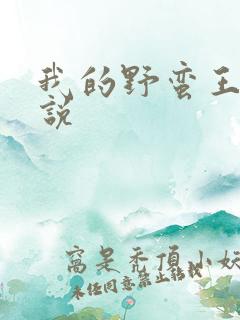 我的野蛮王妃小说