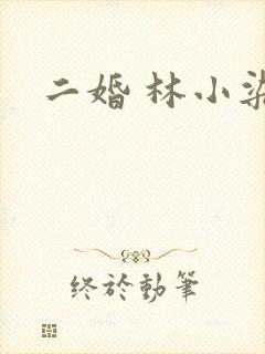 二婚 林小染